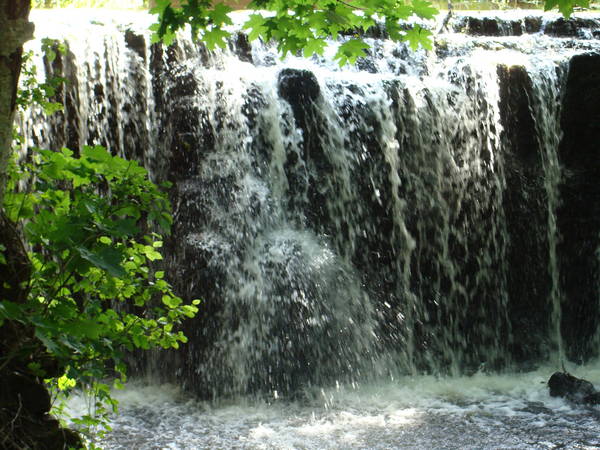 DSC01946.JPG