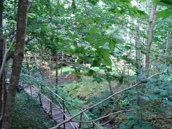 DSC01969.JPG