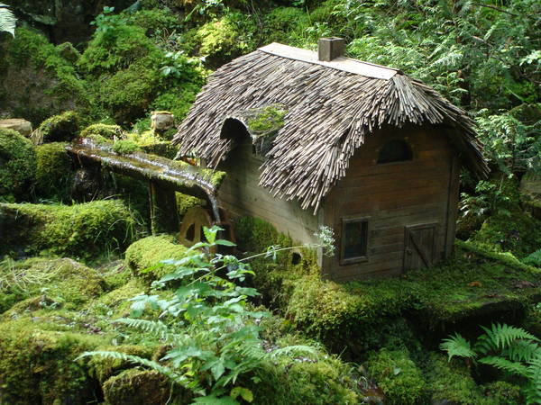 DSC01998.JPG