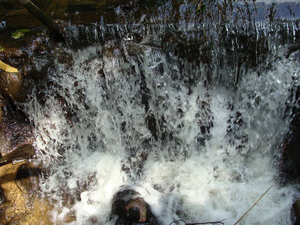 DSC01987.JPG