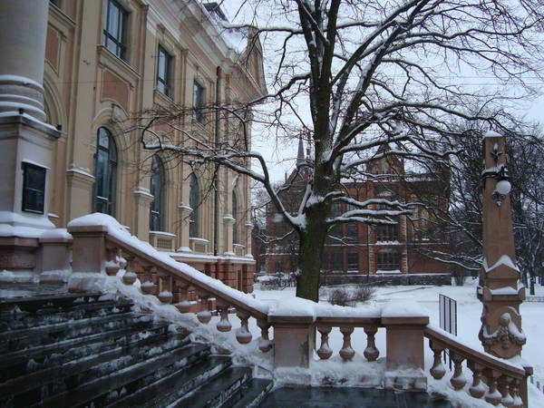 DSC03009.JPG