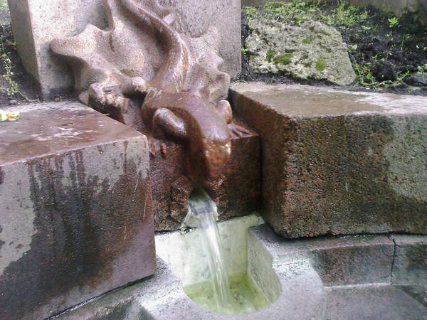 Photo-0013.jpg