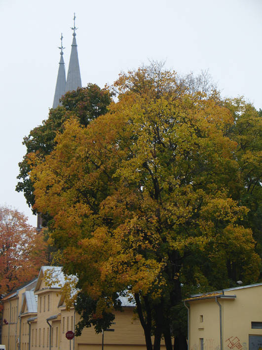 DSC01750.JPG