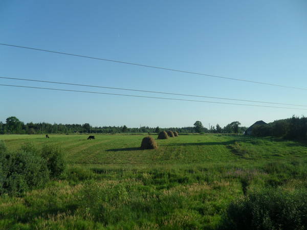 SAM_2316.JPG