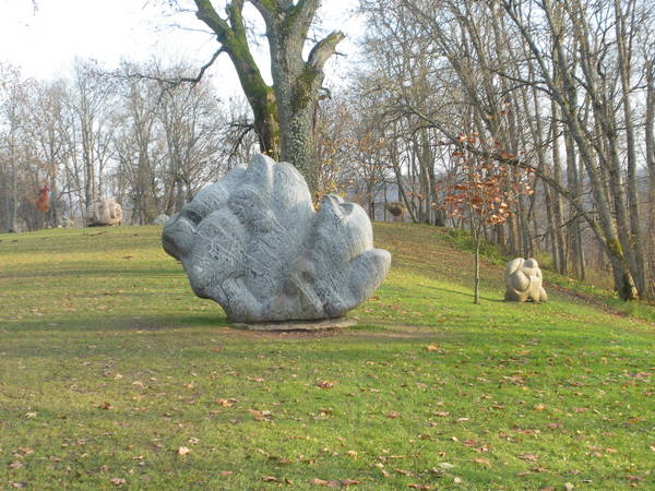IMGP3229.JPG