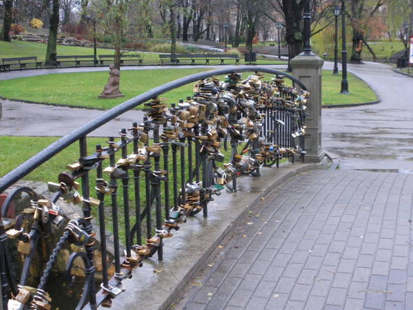 IMGP3472.JPG