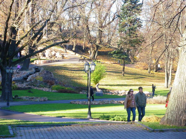IMGP3371.JPG