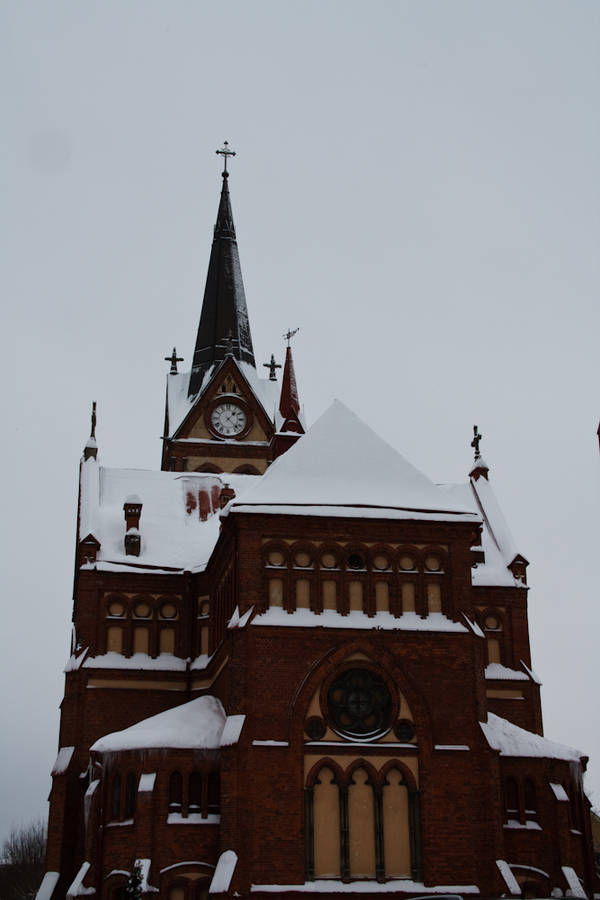 IMG_3325.jpg