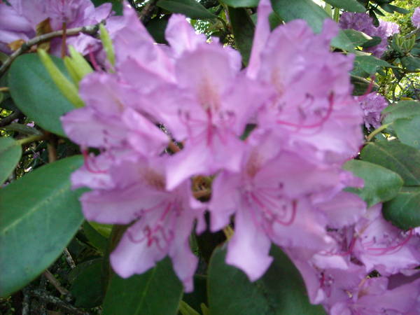 02.06.2010 005.jpg