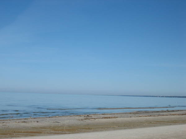 IMG_7498.JPG