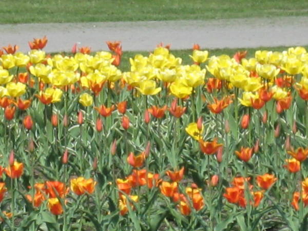 IMG_7601.JPG