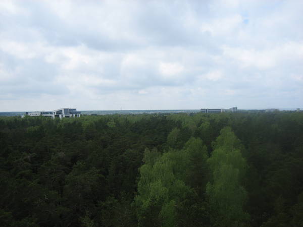 IMG_8156.JPG