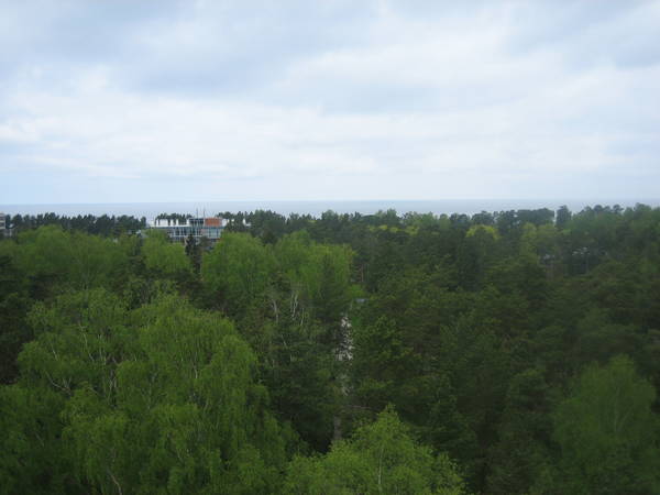 IMG_8154.JPG