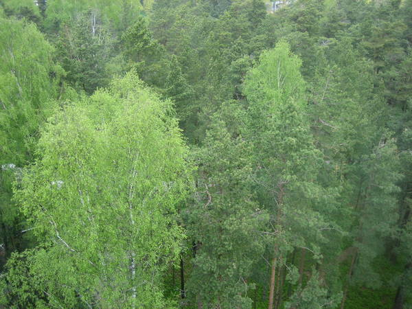 IMG_8162.JPG