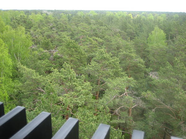 IMG_8164.JPG