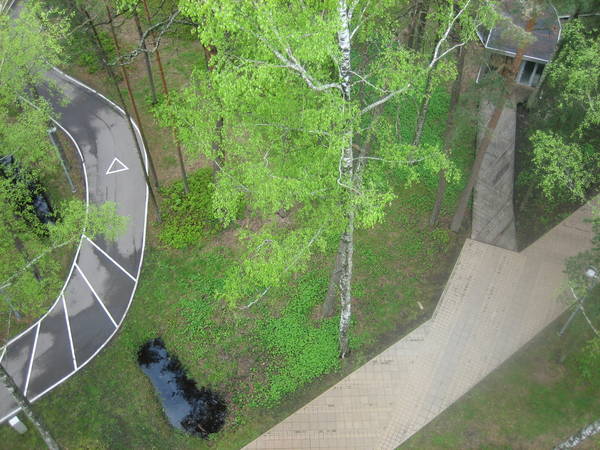 IMG_8169.JPG