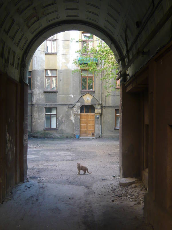 P1160249.JPG