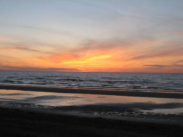 IMG_8482.JPG