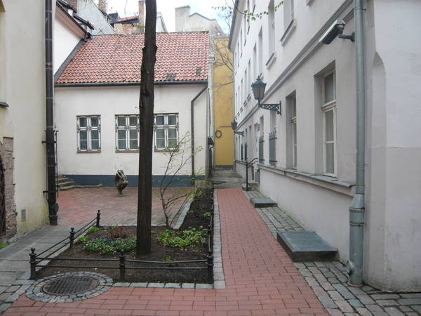 P1160167.JPG