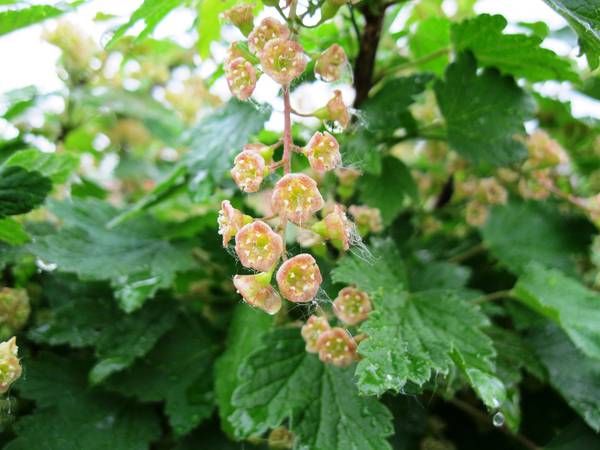 IMG_0473.JPG