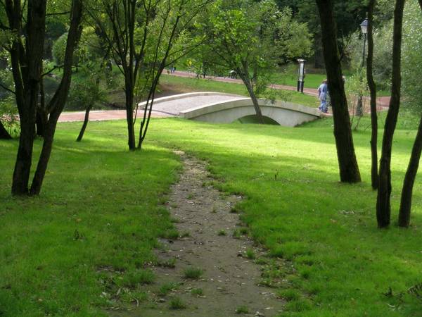 МостЛес1.jpg