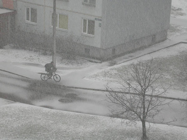 DSCN3551.jpg